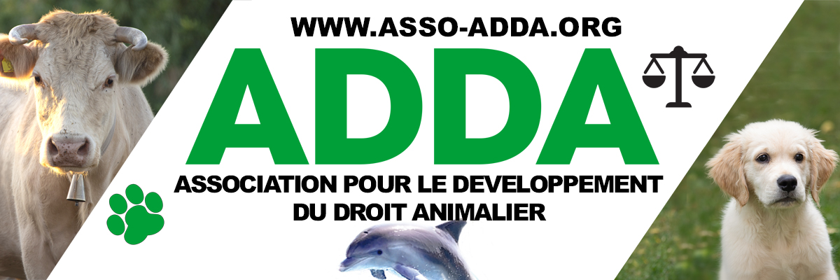 BACHE ADDA4