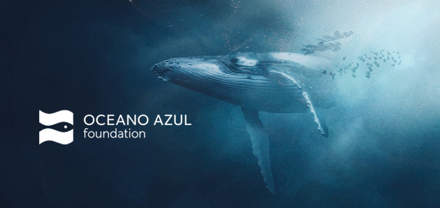 oceanoazulfoundation